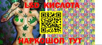 гашик Тулун