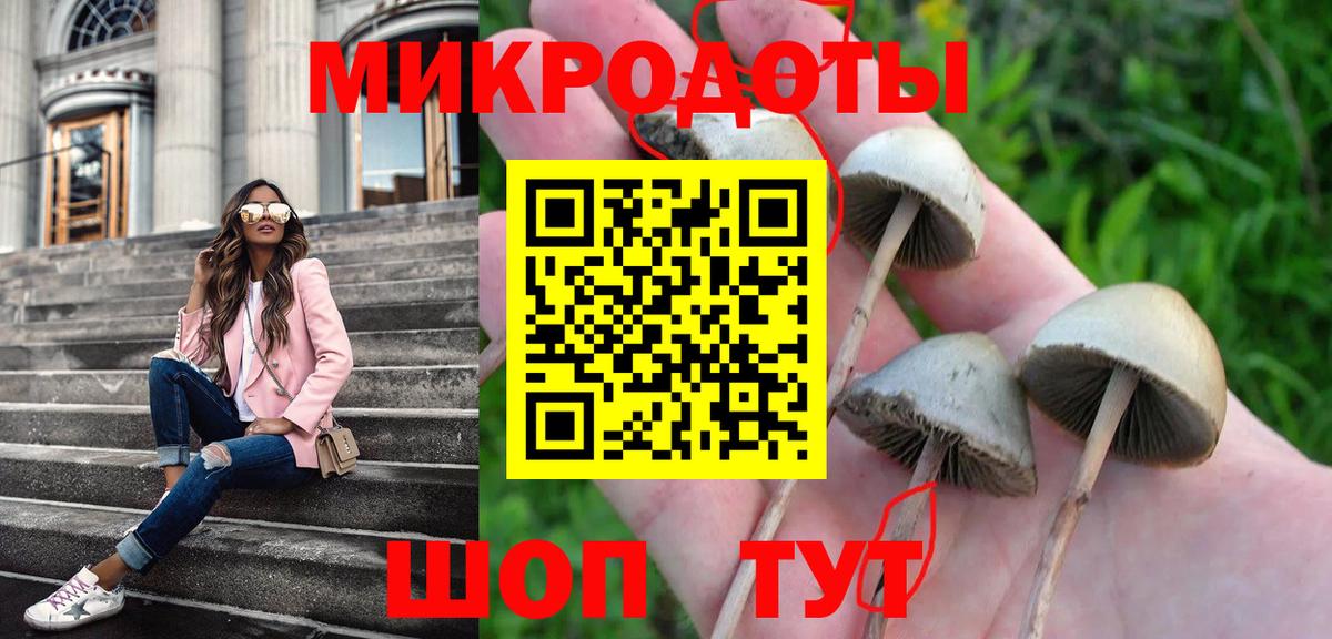 Галлюциногенные грибы мицелий Ахтубинск