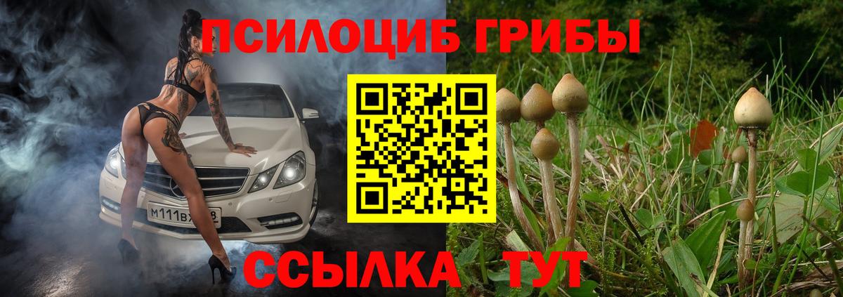 Ахтубинск  Галлюциногенные грибы мицелий  Вход с VPN 